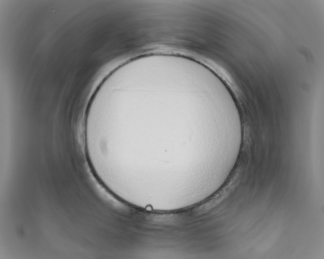 X0000110691247200907101142