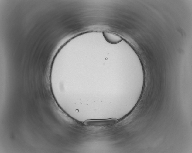 X0000110691248200907101142