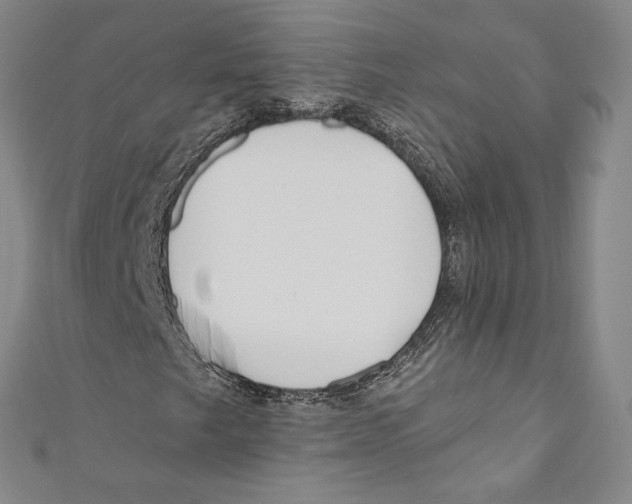 X0000110691249200907101141