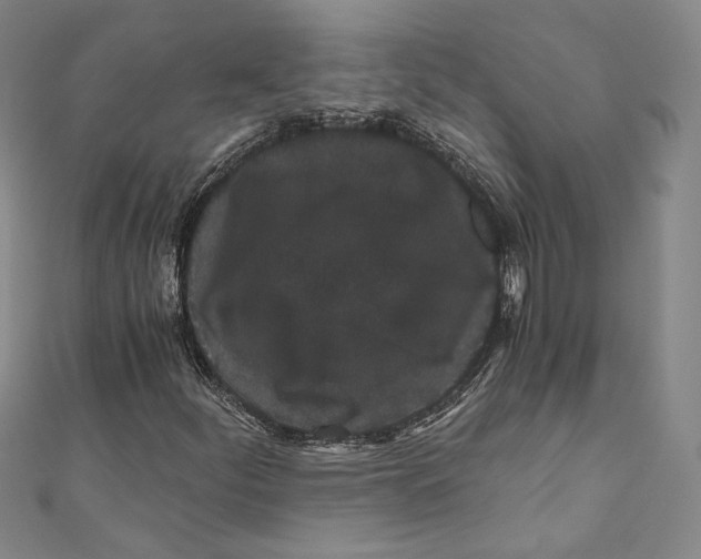 X0000110691252200907101141