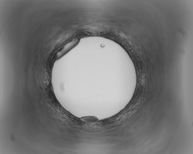 X0000110691253200907101141