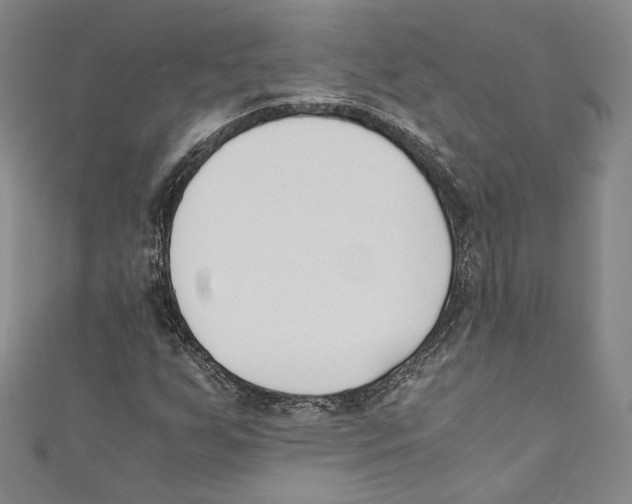 X0000110691255200907101141