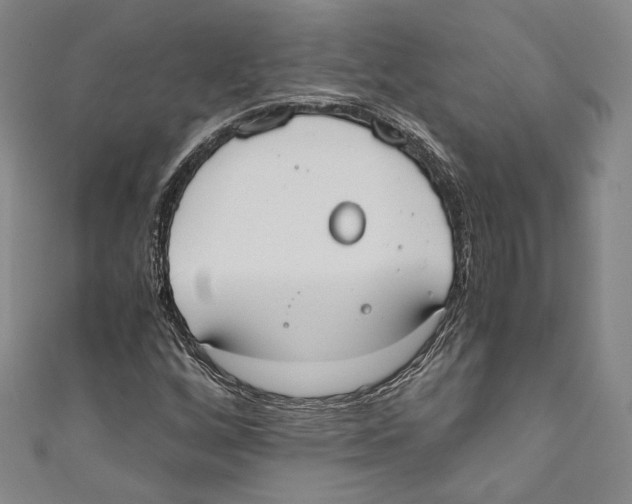 X0000110691256200907101141