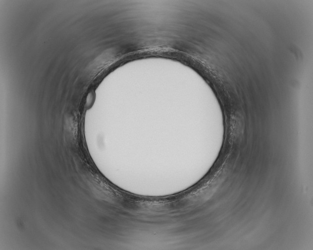 X0000110691257200907101141