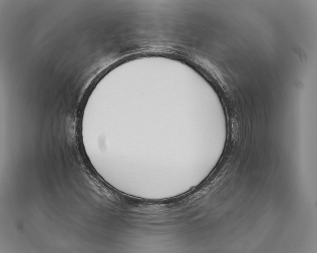 X0000110691260200907101141