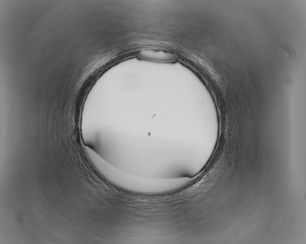 X0000110691261200907101141