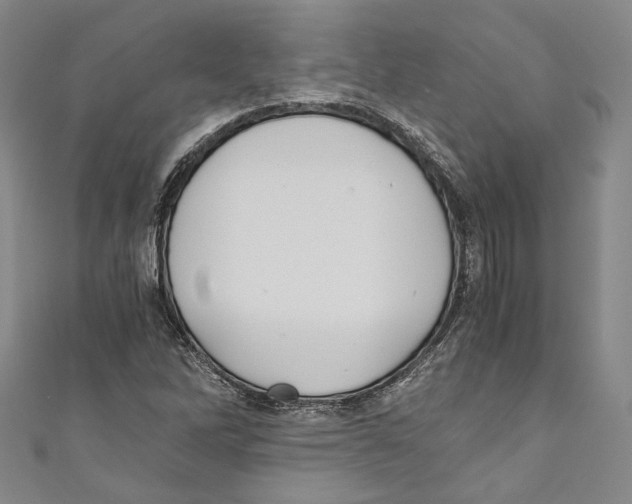 X0000110691262200907101141