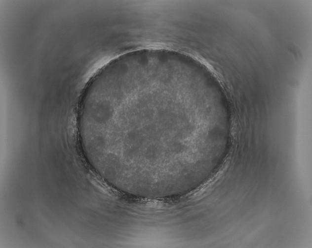 X0000110691263200907101141