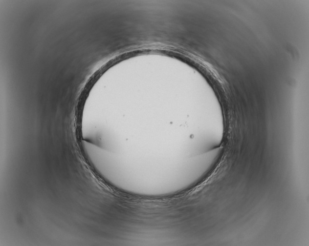 X0000110691264200907101141