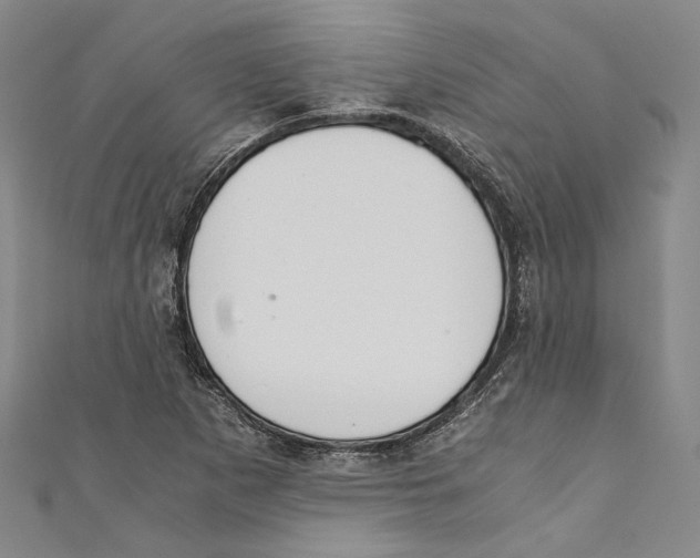 X0000110691265200907101141