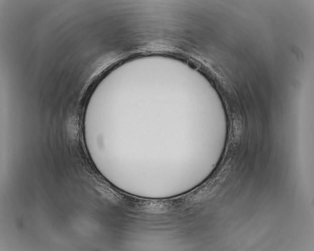 X0000110691266200907101141