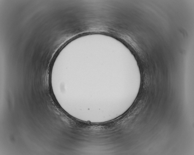 X0000110691268200907101141