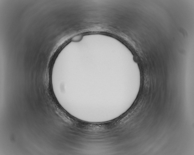 X0000110691270200907101141