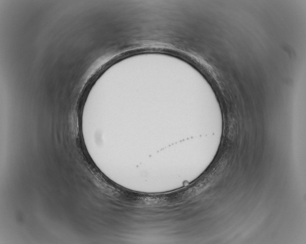 X0000110691271200907101141