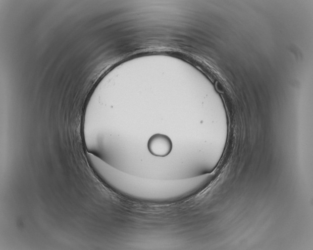 X0000110691273200907101141