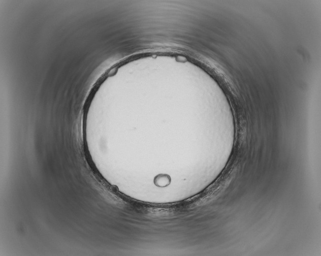 X0000110691275200907101141