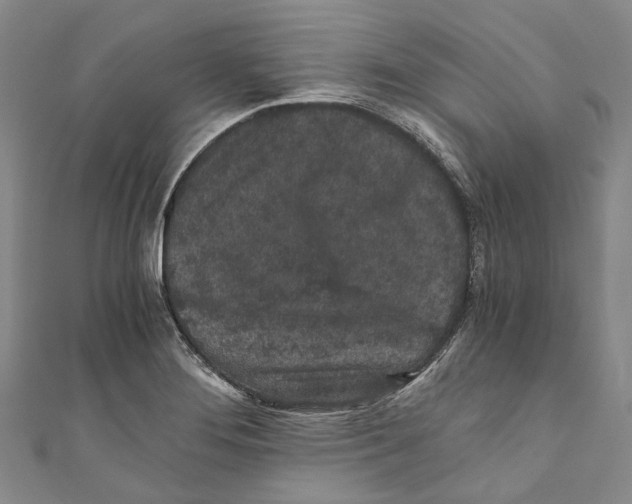 X0000110691276200907101141