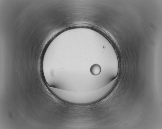 X0000110691277200907101141