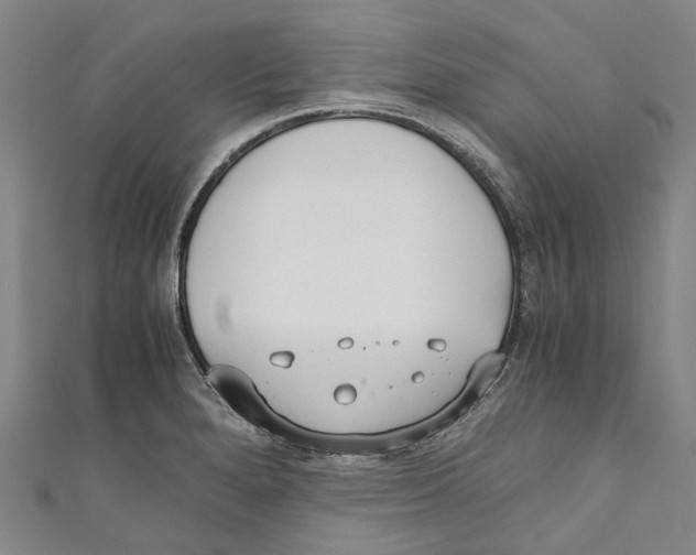 X0000110691280200907101141