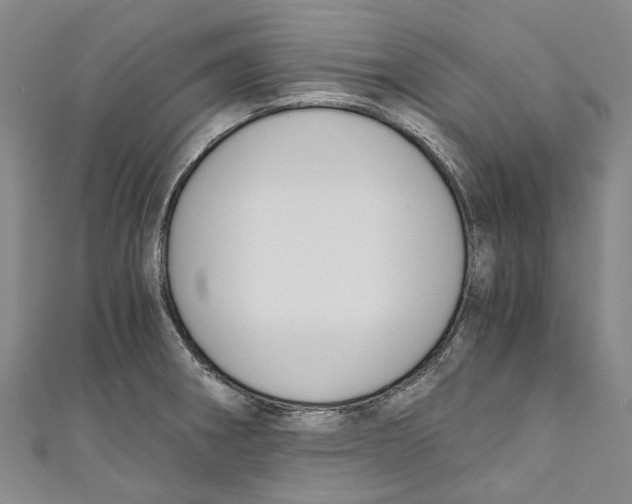 X0000110691282200907101141