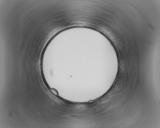 X0000110691283200907101140