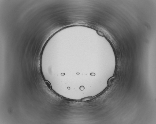 X0000110691284200907101140