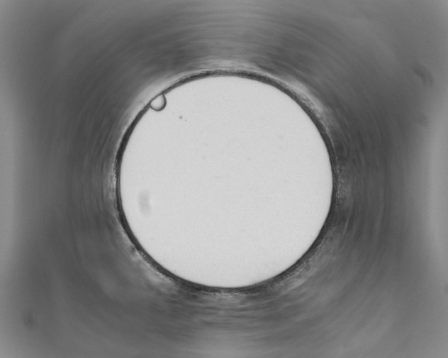 X0000110691287200907101140