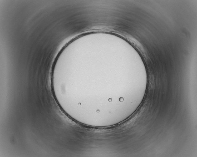 X0000110691288200907101140