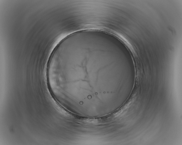 X0000110691291200907101140