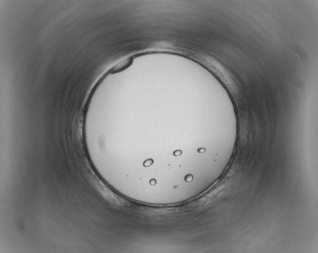 X0000110691292200907101140