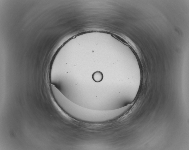 X0000110691293200907101140