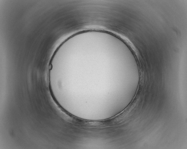 X0000110691295200907101140