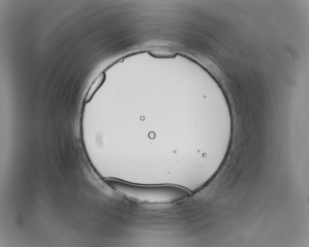 X0000110691296200907101140