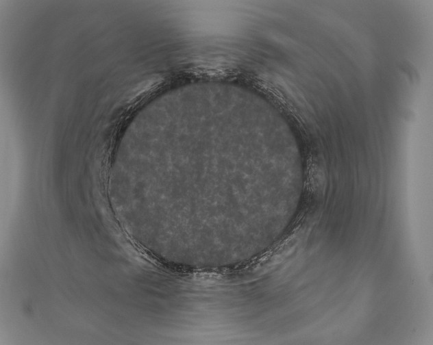 X0000110691297200907101140