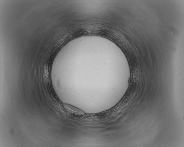 X0000110691298200907101140