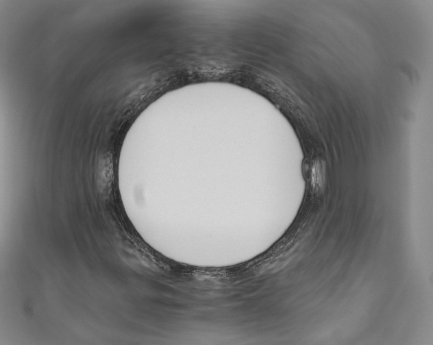 X0000110691299200907101140