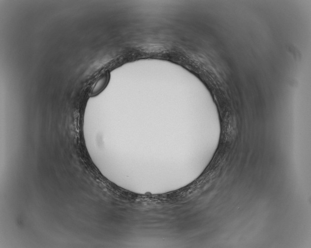 X0000110691301200907101140