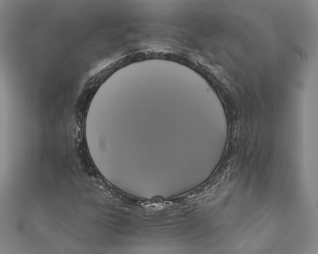 X0000110691303200907101140