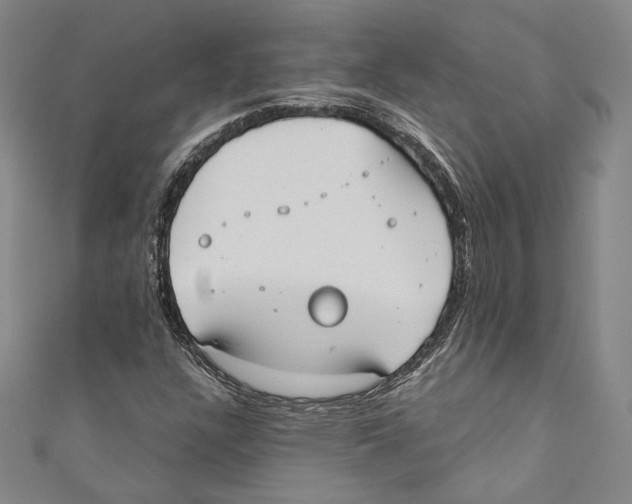 X0000110691304200907101140