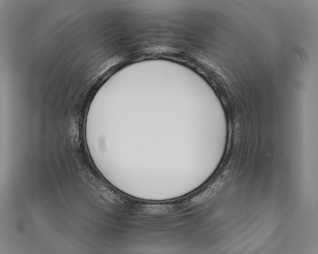 X0000110691305200907101140