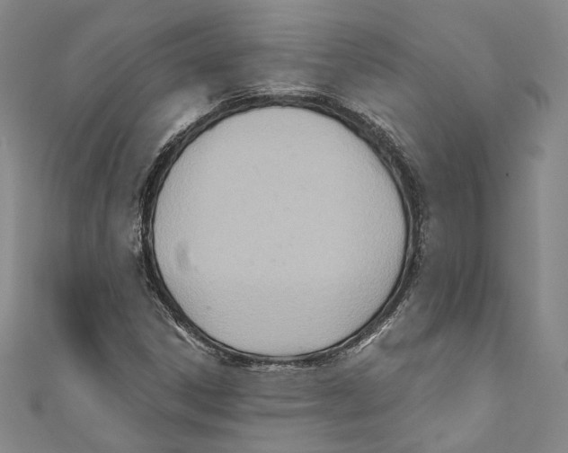 X0000110691306200907101140