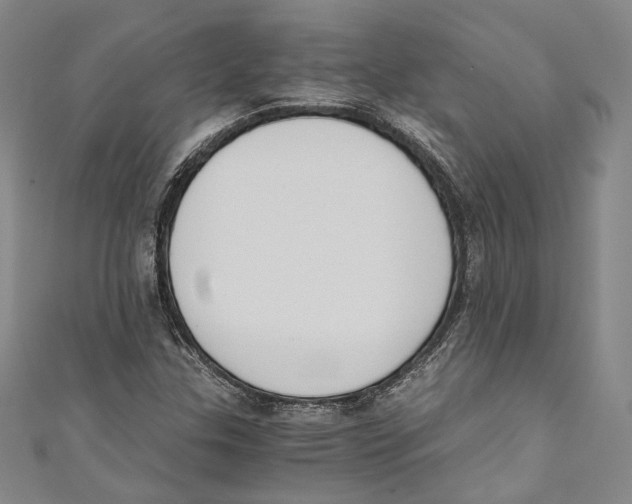 X0000110691307200907101140