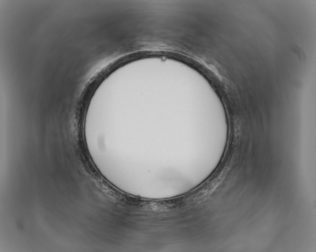 X0000110691311200907101140