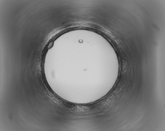 X0000110691312200907101140