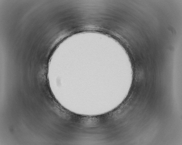 X0000110691314200907101140