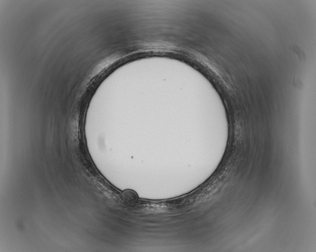 X0000110691315200907101140