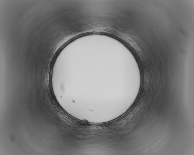 X0000110691316200907101140