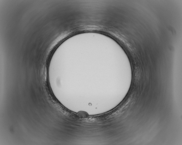 X0000110691317200907101140