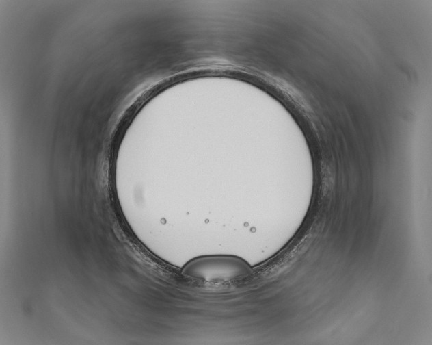 X0000110691318200907101140