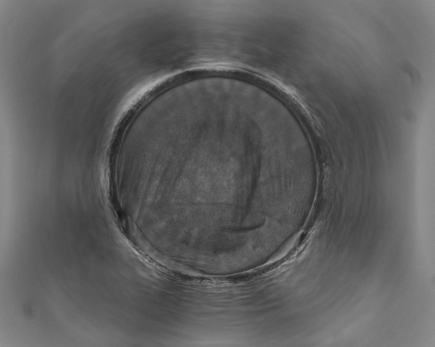 X0000110691319200907101140